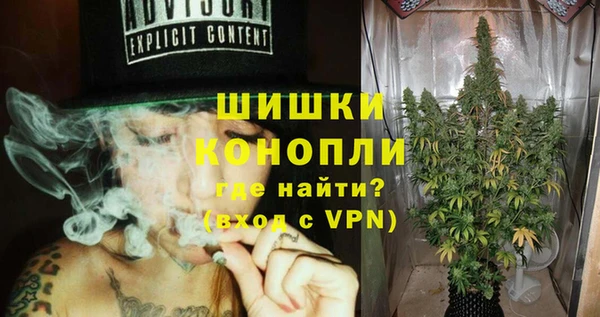 PSILOCYBIN Балахна