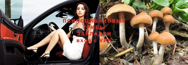 прущая мука Баксан