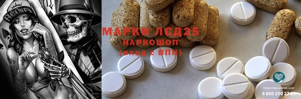 PSILOCYBIN Балахна